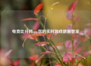电竞比分网app您的实时游戏数据管家