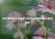 昨天世界杯比分是多少昨天的世界杯比分情况解析