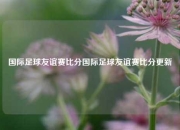 国际足球友谊赛比分国际足球友谊赛比分更新