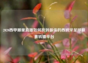 2020西甲哪里直播如何找到最佳的西班牙足球联赛转播平台