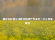 基尔与波鸿足球比分预测双方实力分析及胜负展望