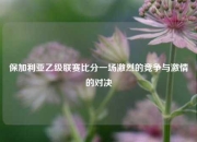 保加利亚乙级联赛比分一场激烈的竞争与激情的对决