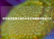 西甲高清直播无插件尽享足球盛宴的便捷方式