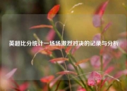 英超比分统计一场场激烈对决的记录与分析