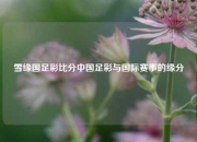 雪缘国足彩比分中国足彩与国际赛事的缘分